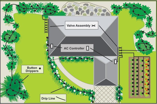 Drip Irrigation System Layout